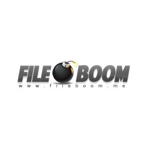 https://instantcode.co/644-825-thickbox/fileboom-30.jpg